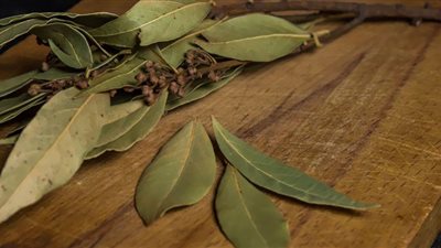 أبرزها إزالة السموم.. فوائد مهمة لورق الغار