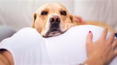 دراسة تكشف تأثير تربية القطط والكلاب أثناء الحمل