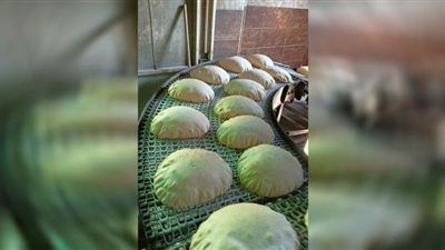 محافظ الدقهلية يحيل 58 مخالفة تموينية متنوعة إلى النيابة العامة