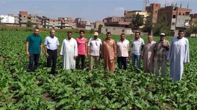 ندوة إرشادية عن محصول بنجر السكر بكفر صقر