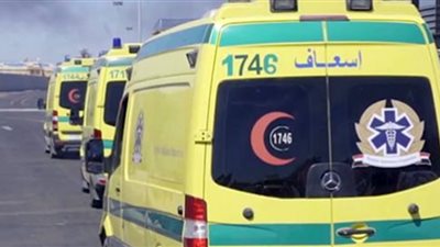 إصابة 5 أشخاص إثر انقلاب سيارة ربع نقل بأسوان |أسماء