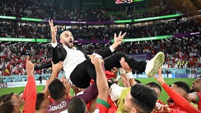 وليد الركراكي: قدمنا أفضل ما لدينا أمام فرنسا
