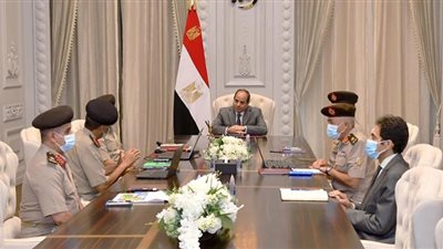 توجيهات رئاسية بإضافة مساحات جديدة للرقعة الزراعية فى توشكى