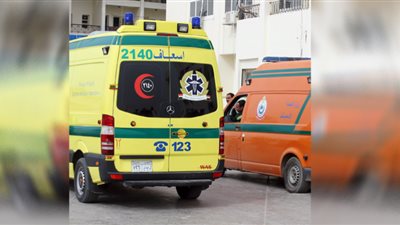 إصابة 19 شخصًا في تصادم سيارتين ميكروباص بالشرقية