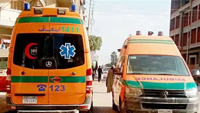 ننشر أسماء المصابين في حادث تصادم سيارتي ميكروباص بالشرقية