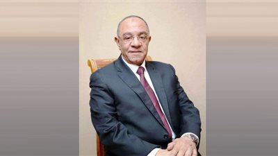 تنفيذًا لقرار «الإدارية العليا».. عادل ناصر رئيسًا لغرفة الجيزة التجارية