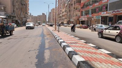 رفع 565 طن قمامة وأتربة من شوارع وميادين بالمنصورة