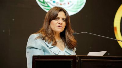 الهجرة تواصل توفيرالخدمات والمحفزات للمصريين بالخارج