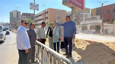 السكرتير العام بالفيوم يتفقد أعمال الرصف والتجميل بشارع بطل السلام