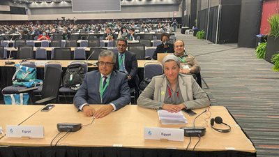 وزيرة البيئة: نسعى للاستفادة من النتائج الإيجابية لمؤتمر المناخ في دفع أجندة التنوع البيولوجي