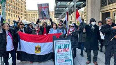 وقفات حاشدة للجالية المصرية ترحيبا بالرئيس السيسي فى واشنطن.. صور