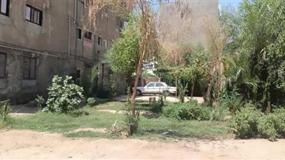 إنشاء حديقة عامة بمنطقة الصعايدة جنوب مدينة دشنا