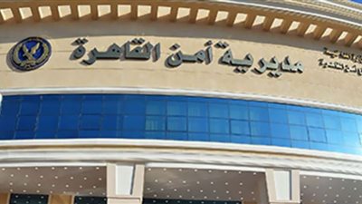 ضبط عناصر تشكيل عصابي بالقاهرة