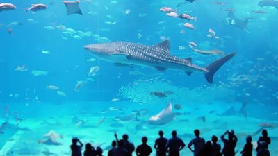 انفجار أكبر حوض أسماك في العالم ببرلين (فيديو)