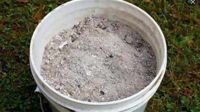 وكيل زراعة الفيوم يوجه بإستخدام الرماد لتسميد الأشجار والخضروات