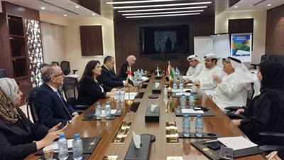 الموارد البشرية والتوطين الإماراتي تؤكد لا يوجد خطر إحلال ولا استبدال للعمالة المصرية