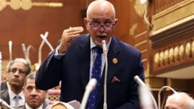 حازم الجندي: إنشاء أكبر مصنع للغزل والنسيج بالمحلة يعيد القطن المصري لأمجاده