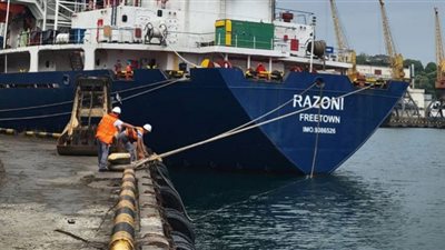 تفتيش دقيق لأول سفينة تحمل حبوب أوكرانية قرب إسطنبول