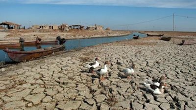 الجفاف يهدد أمن العراق الغذائي