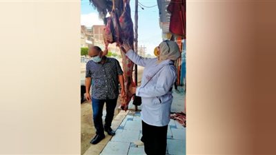 تحرير 12 محضر فى حملات بالشرقية