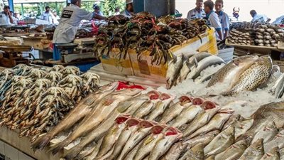أسعار الأسماك في الأسواق اليوم