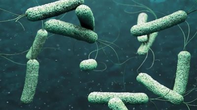 الكوليرا يُثير الرعب في لبنان وسط تزايد الإصابات