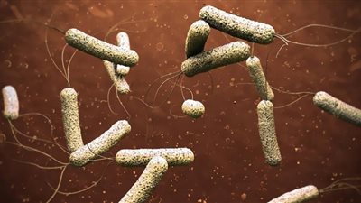 الكوليرا يثير رعب العرب.. لبنان يسجل ثاني إصابة وسوريا تستغيث