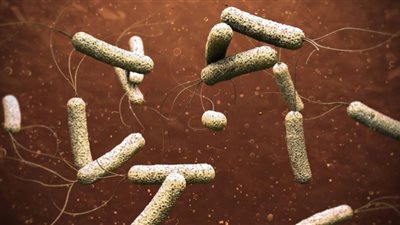 كل ما تريد معرفته عن مرض الكوليرا وأعراضه وطرق الوقاية