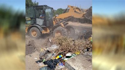 حملة لمكافحة الحشرات الزاحفة والأمراض المتوطنة بالإسماعيلية