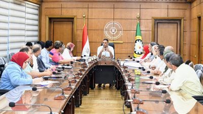 الدقهلية تناقش البدء في ترفيق بعض المناطق بمدينة الرياض