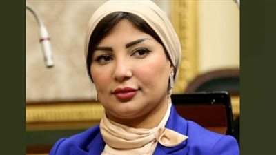 رشا أبو شقرة: مصر تسعى لتوسيع الشراكات مع المؤسسات الإنمائية والدول الأفريقية بوجه عام