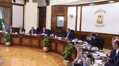 رئيس الوزراء يبحث تنمية 
