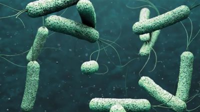 المخاوف تتزايد وسط تفشي الكوليرا في لبنان