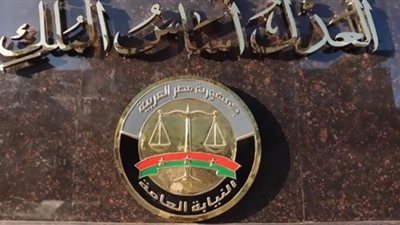 النيابة العامة تأمر بحبس متهم لاتجاره في 295 قطعة مشتبه في أثريتها بمركز ميت غمر
