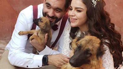 أول تعليق من عروسين احتفلا بزفافهما في ملجأ للكلاب (فيديو)