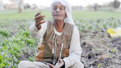 مطبات فى طريق «تقنين» الأراضى الزراعية