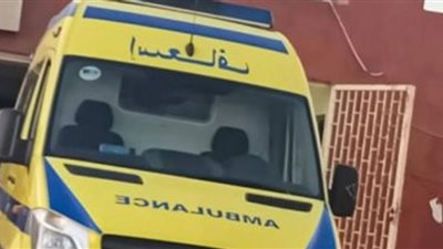 زوج ينهي حياته بعد طعن زوجته ومحاولة الأهالي الإمساك به في الشرقية