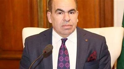 الهضيبي: الحوار الوطني طريق العبور للجمهورية الجديدة