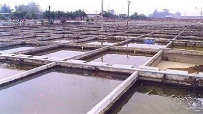 الجفاف والمياه الكبريتية يعرقلان مستقبل مشروعات الاستزراع السمكي