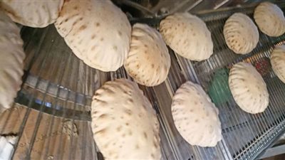 محافظ الدقهلية يحيل 29 مخالفة تموينية متنوعة إلى النيابة العامة