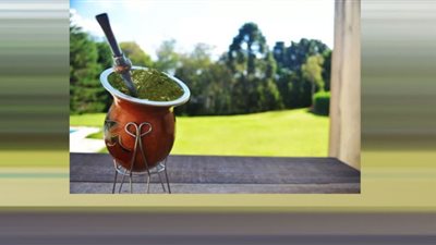 مشروب المتة.. سر تناول منتخب الأرجنتين لـ 500 لتر في قطر