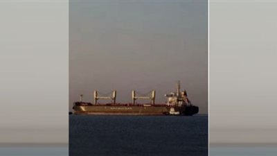 3 سفن جديدة محملة بالحبوب تغادر أوكرانيا (فيديو)