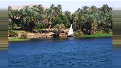 حملة كبيرة لتطهير مجرى النيل.. قَسم الفرعنة يتحقق ( تفاصيل )