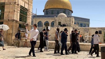 عشرات المستوطنين يقتحمون المسجد الأقصى تحت حراسة قوات الاحتلال