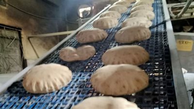 محافظ الدقهلية يحيل 32 مخالفة تموينية متنوعة إلى النيابة العامة