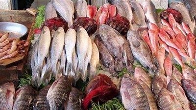تباين أسعار الأسماك في الأسواق اليوم