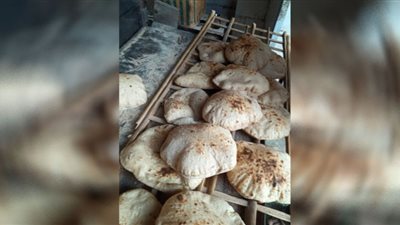 محافظ الدقهلية يحيل 45 مخالفة تموينية إلى النيابة العامة