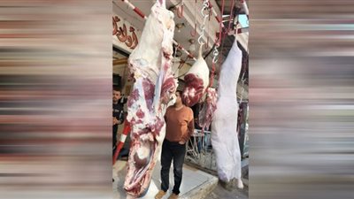 ضبط 167 كجم لحوم ودواجن غير صالحة بالشرقية
