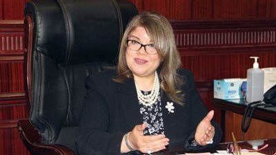 وكيل الشيوخ: المجلس الأعلى لصناعة السيارات يتماشى مع استراتيجية مواجهة التغيرات المناخية