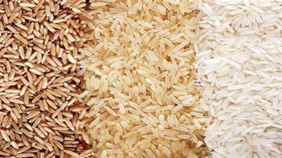 السماح لمضارب القطاع الخاص الاشتراك فى منظومة توريد الأرز